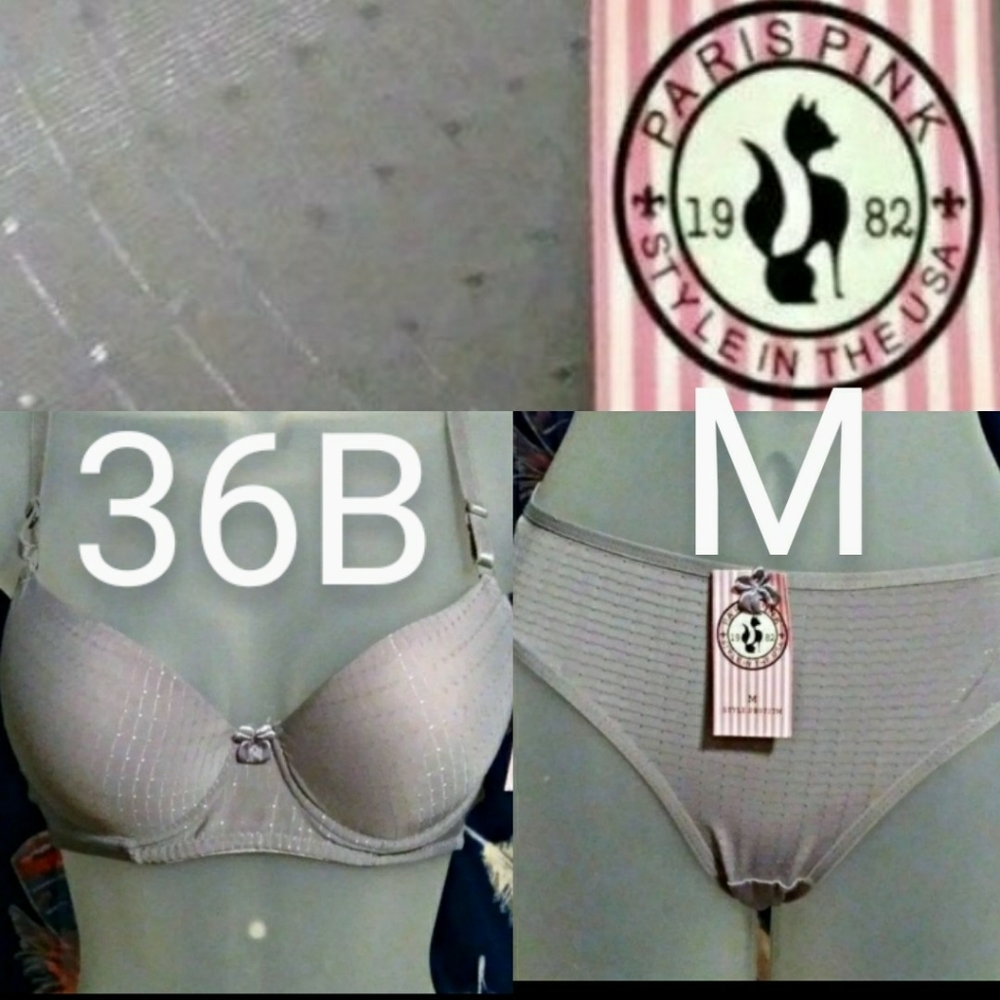 🆕NWT PARIS PINK 2-PC SET SILVER BRA & PANTIES
